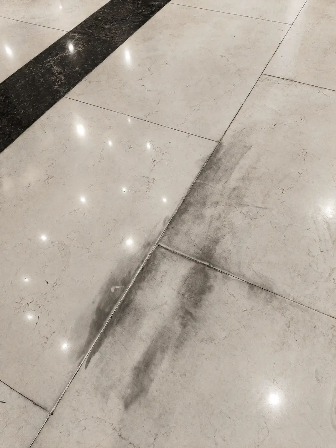 White marble floor with contrasting black stone border after polishing